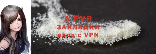 круглые Белокуриха