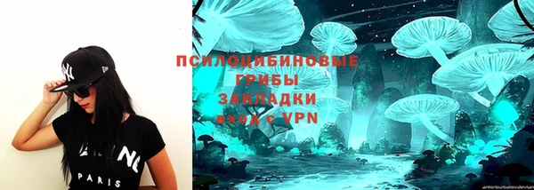 круглые Белокуриха
