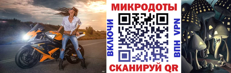 Псилоцибиновые грибы Psilocybe  Жуковка 